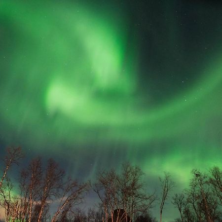 Ofelas Islandshaestar & Guideservice Kiruna község Kültér fotó