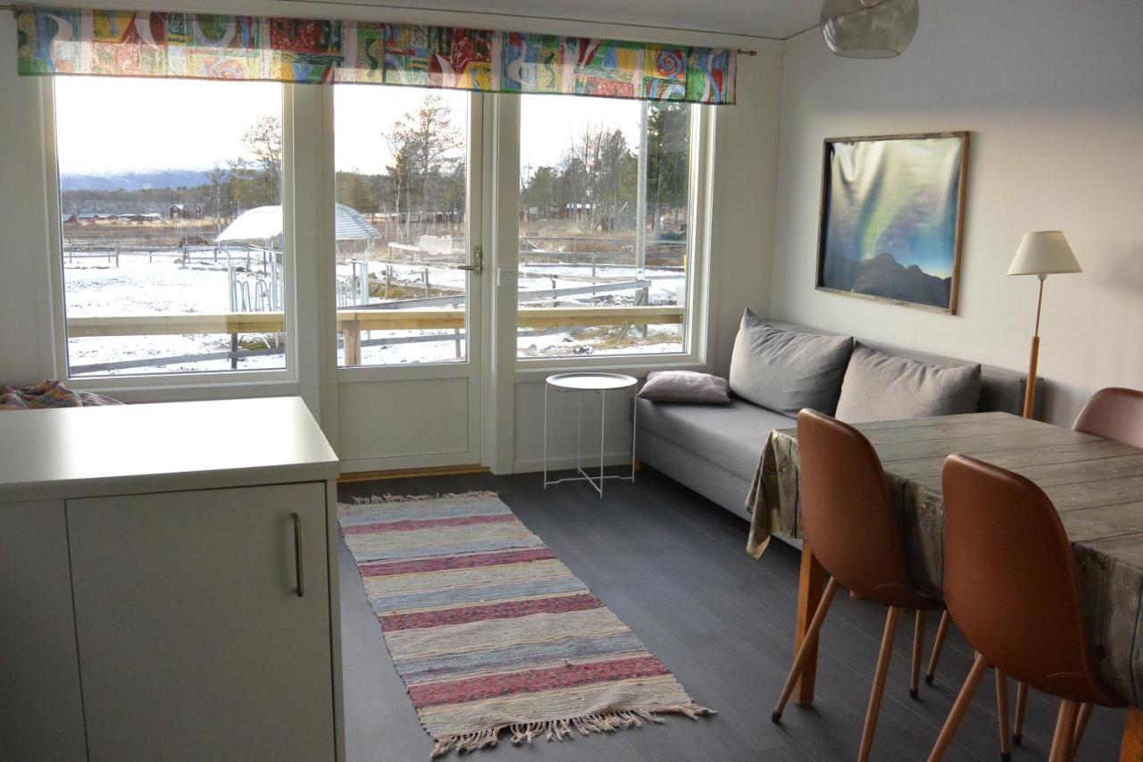 Ofelas Islandshaestar & Guideservice Kiruna község Kültér fotó