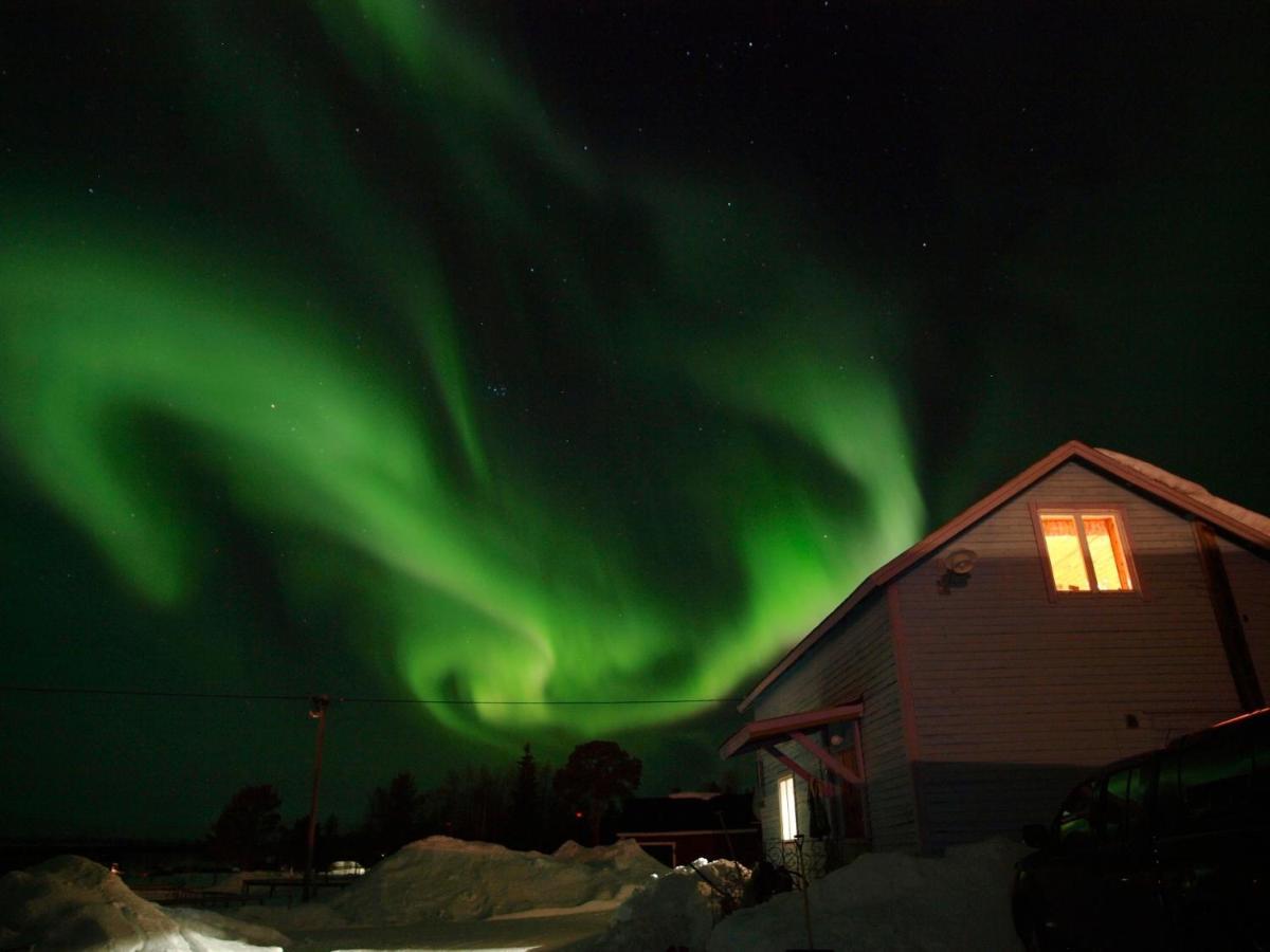 Ofelas Islandshaestar & Guideservice Kiruna község Kültér fotó