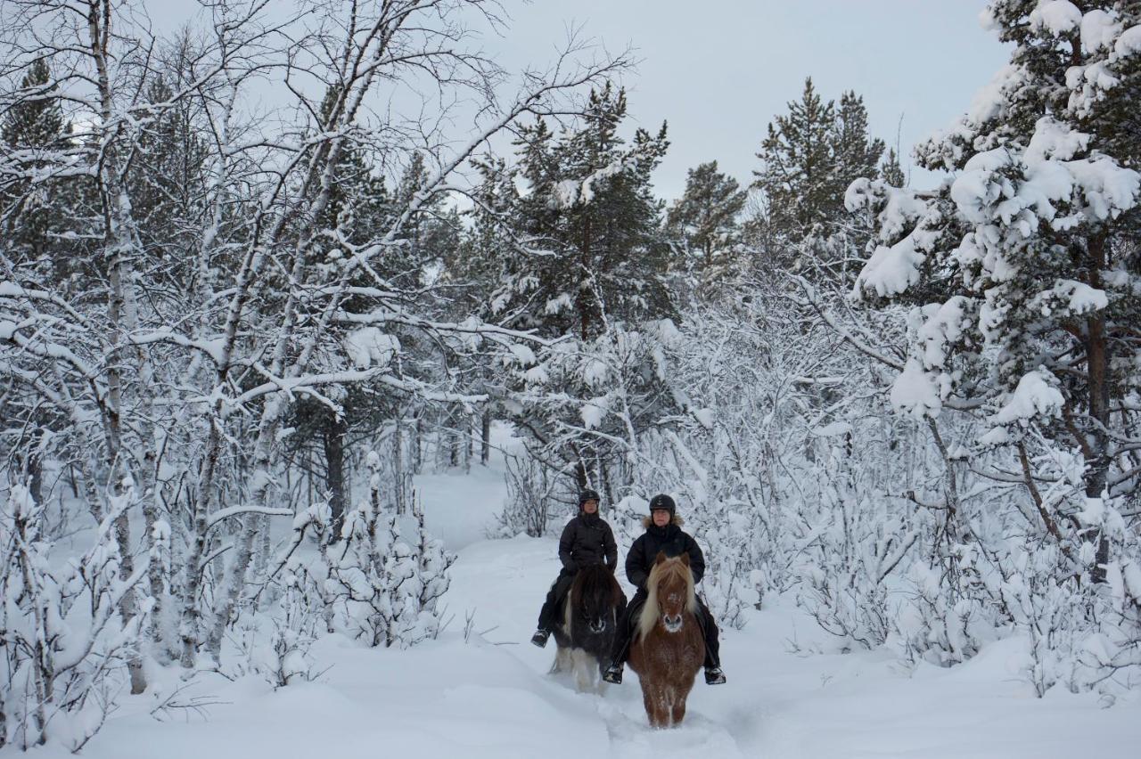 Ofelas Islandshaestar & Guideservice Kiruna község Kültér fotó