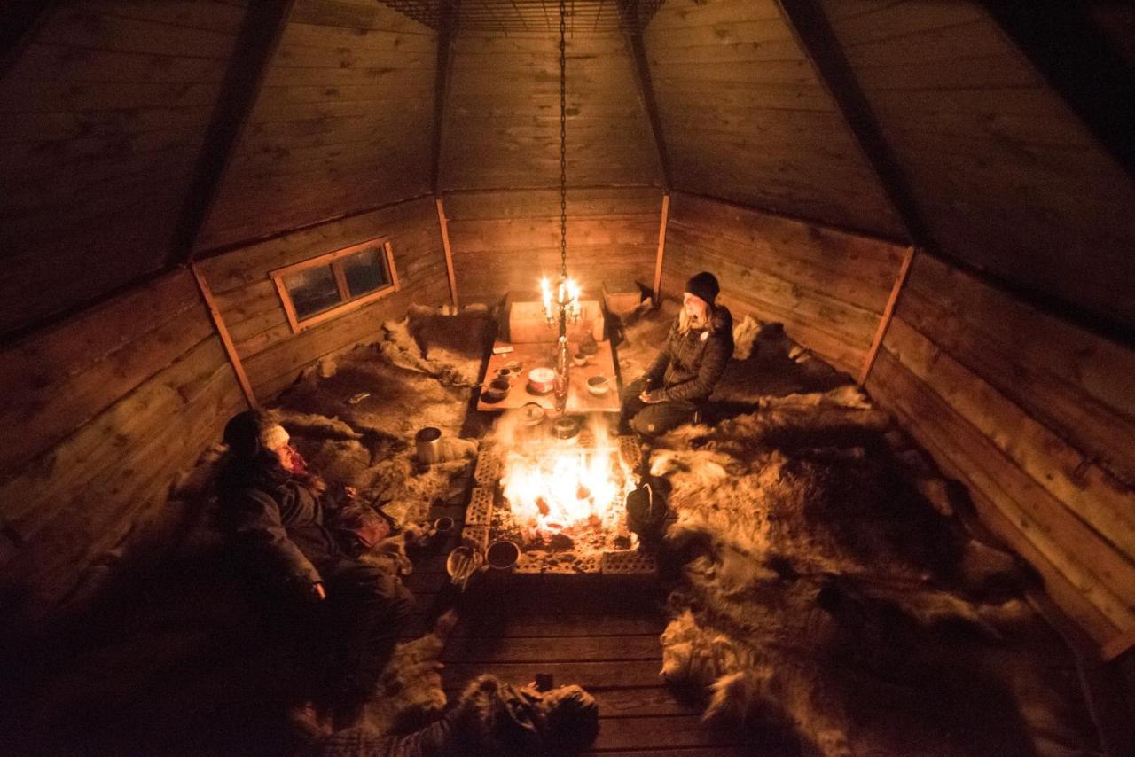 Ofelas Islandshaestar & Guideservice Kiruna község Kültér fotó