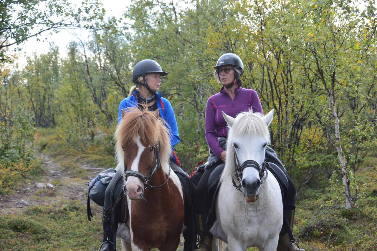 Ofelas Islandshaestar & Guideservice Kiruna község Kültér fotó