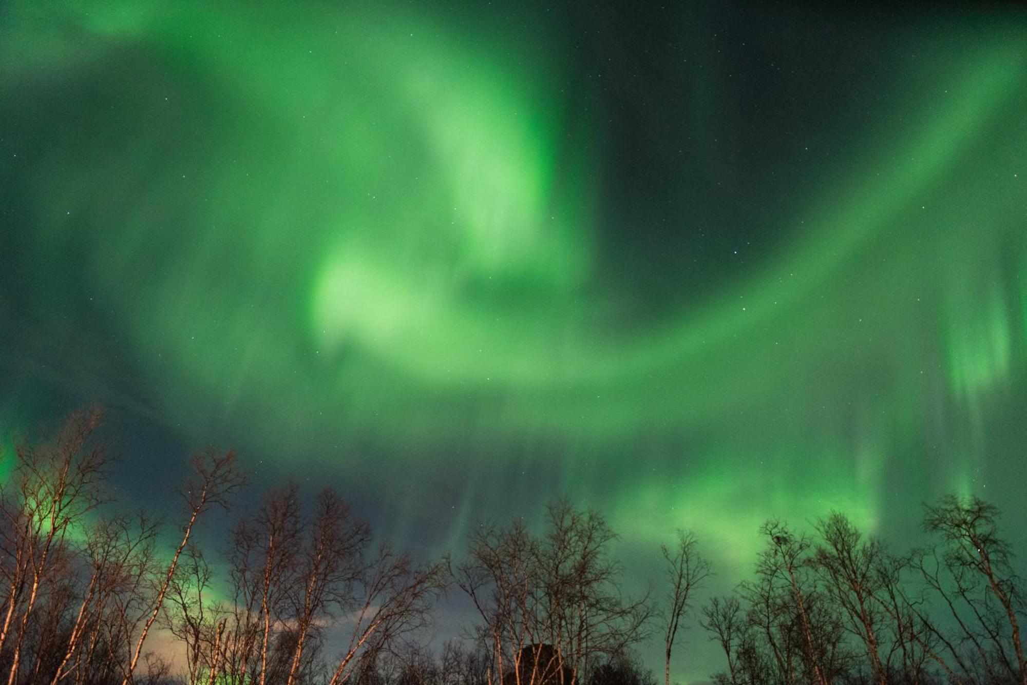 Ofelas Islandshaestar & Guideservice Kiruna község Kültér fotó