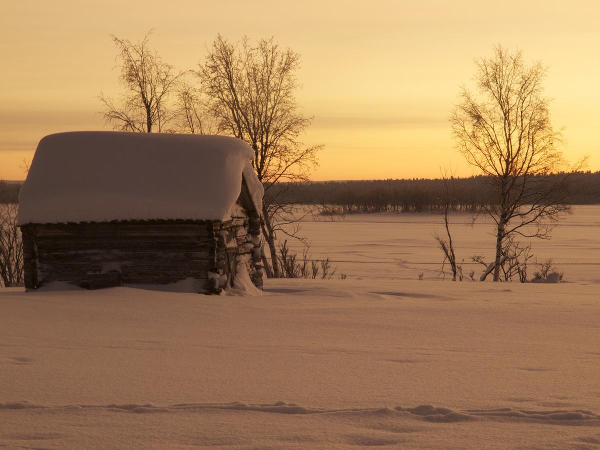 Ofelas Islandshaestar & Guideservice Kiruna község Kültér fotó