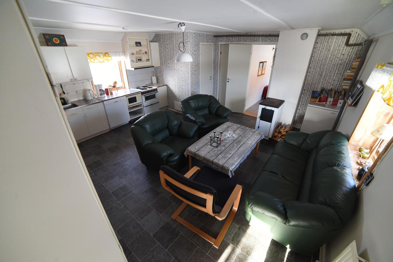 Ofelas Islandshaestar & Guideservice Kiruna község Kültér fotó