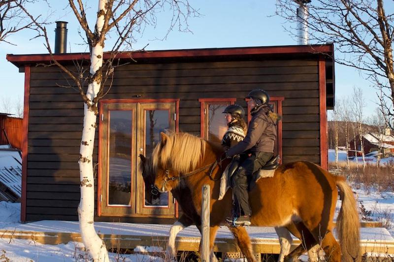 Ofelas Islandshaestar & Guideservice Kiruna község Kültér fotó